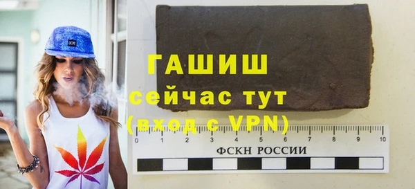 сатива Новозыбков