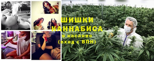 каннабис Аркадак