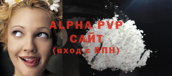 сатива Новозыбков