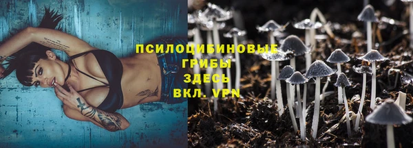 прущий лед Арсеньев