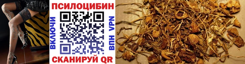 Псилоцибиновые грибы GOLDEN TEACHER  hydra зеркало  Новотитаровская 